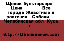 Щенок бультерьера › Цена ­ 35 000 - Все города Животные и растения » Собаки   . Челябинская обл.,Куса г.